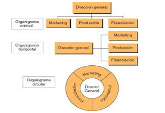 Organización como Sistema.