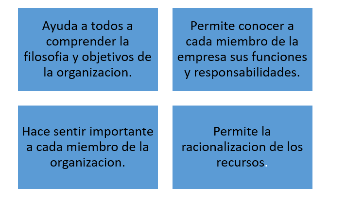 Organización como Sistema.