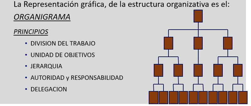 Organización como Sistema.