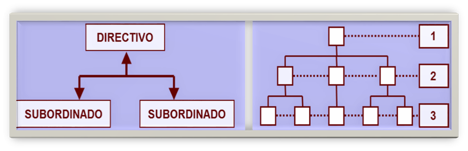 Organización como Sistema.