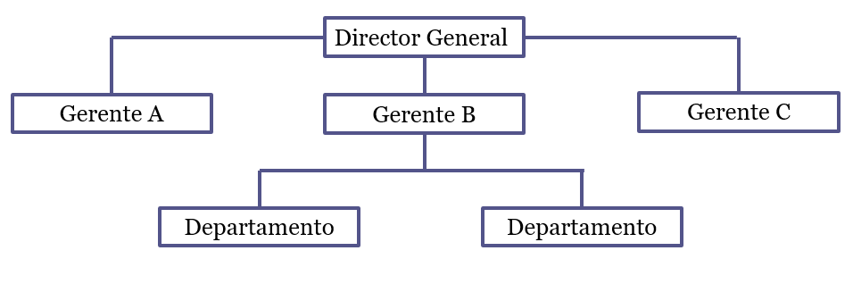 Organigramas funcionales.
