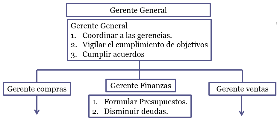 Organigramas funcionales.
