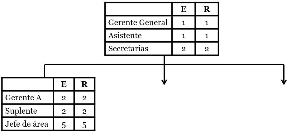 Organigramas funcionales.

