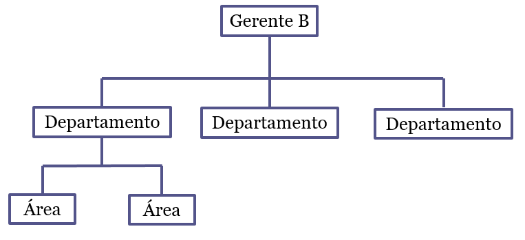 Organigramas funcionales.
