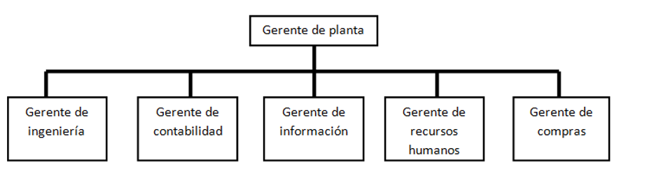 Organigramas funcionales.
