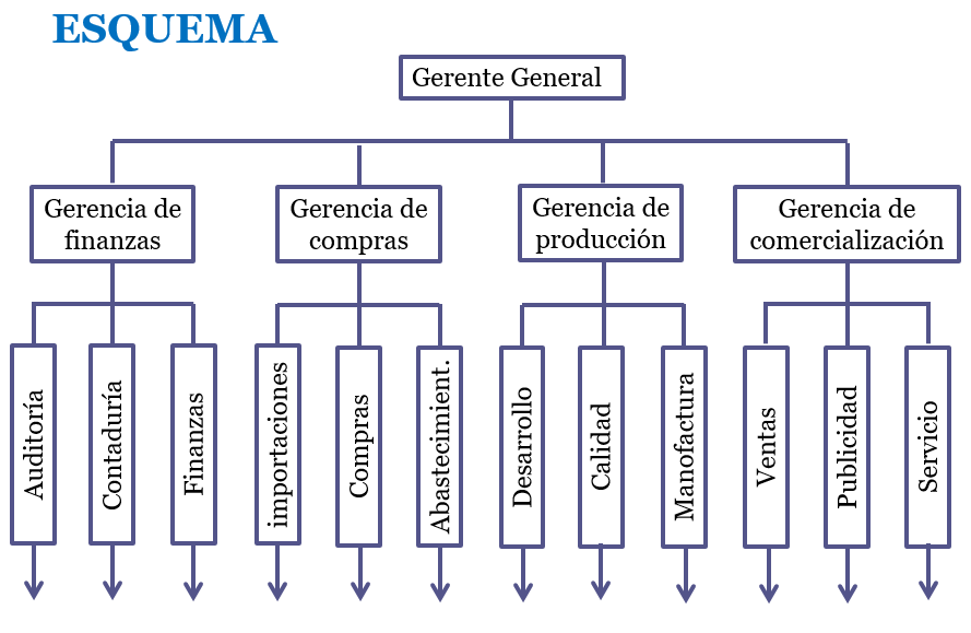 Organigramas funcionales.
