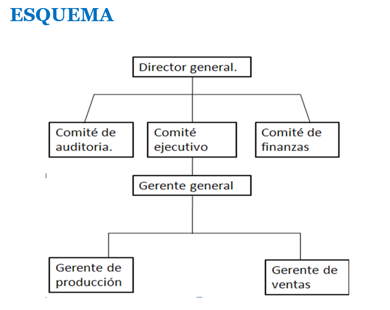 Organigramas funcionales.
