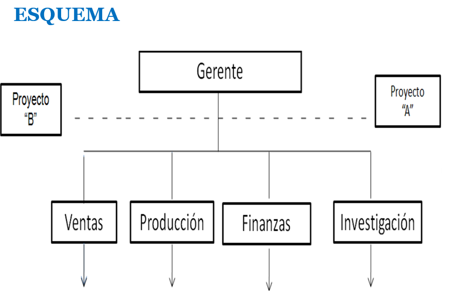 Organigramas funcionales.
