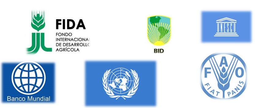 Introducción , desarrollo y evaluación cronológica de la finanzas
