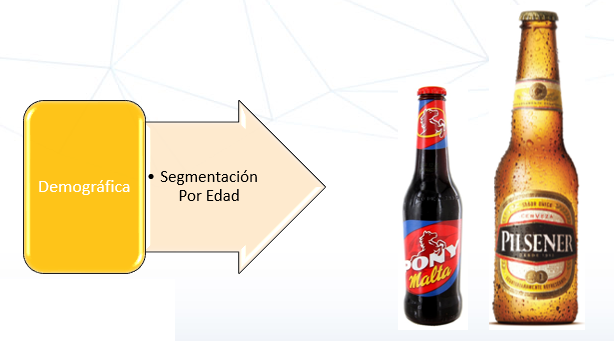 La segmentación de Mercado de consumo.	