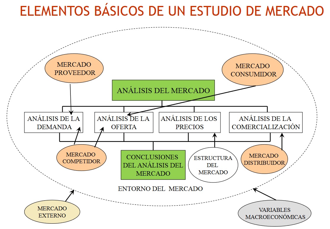 ESTUDIO DE MERCADO