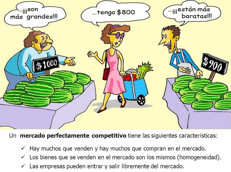 ESTUDIO DE MERCADO