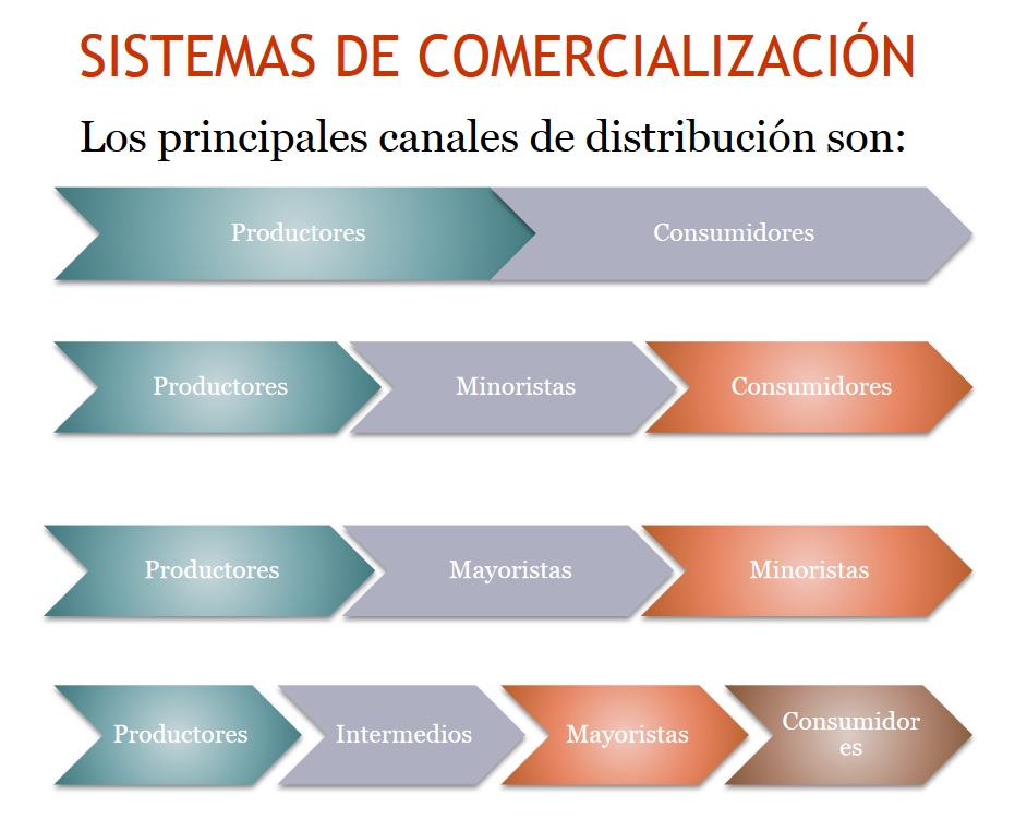 ESTUDIO DE MERCADO