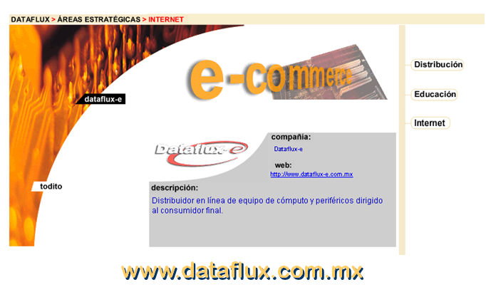 Problemática del e-Commerce. Principales modelos de negocios tipo Negocio a Consumidor (B2C)