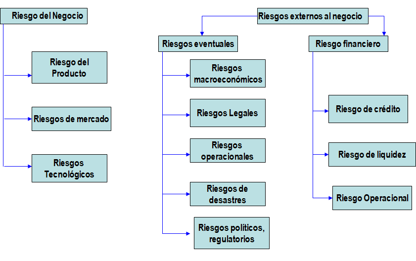El cliente. Cadena de Valor Virtual.