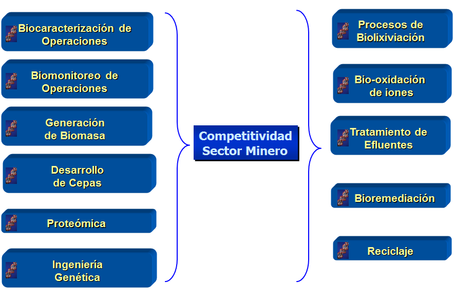El cliente. Cadena de Valor Virtual.