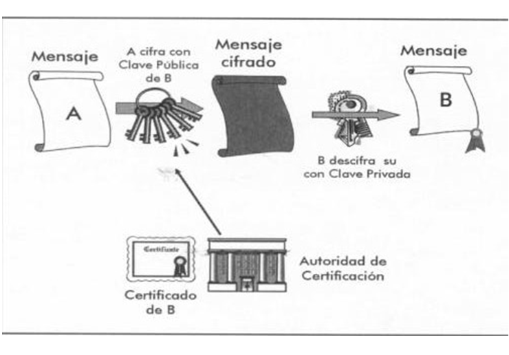 Seguridad en el e-Commerce. La contraseña, reconocimiento biométrico, criptografía, certificado digital, firma digita