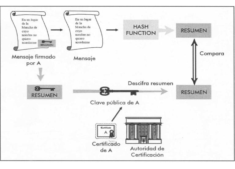 Seguridad en el e-Commerce. La contraseña, reconocimiento biométrico, criptografía, certificado digital, firma digita