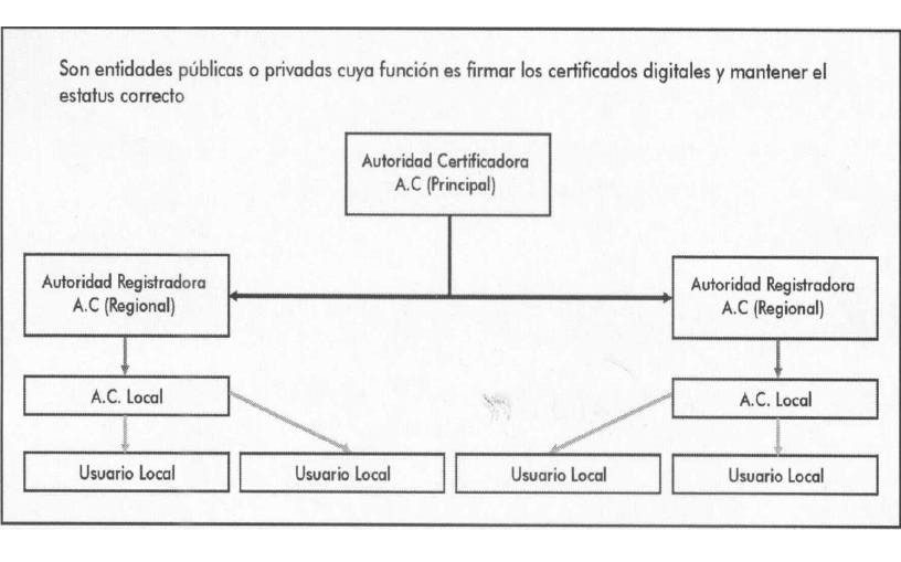 Seguridad en el e-Commerce. La contraseña, reconocimiento biométrico, criptografía, certificado digital, firma digita