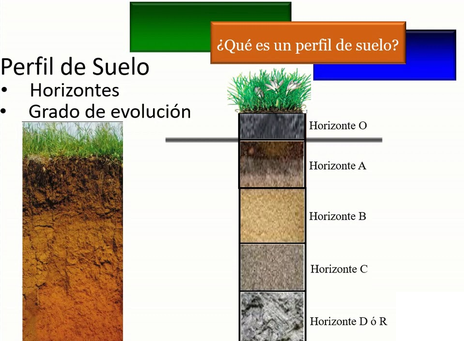 Horizontes transicionales: Distinciones subordinadas
