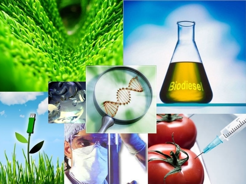 Explica la importancia de la microbiología