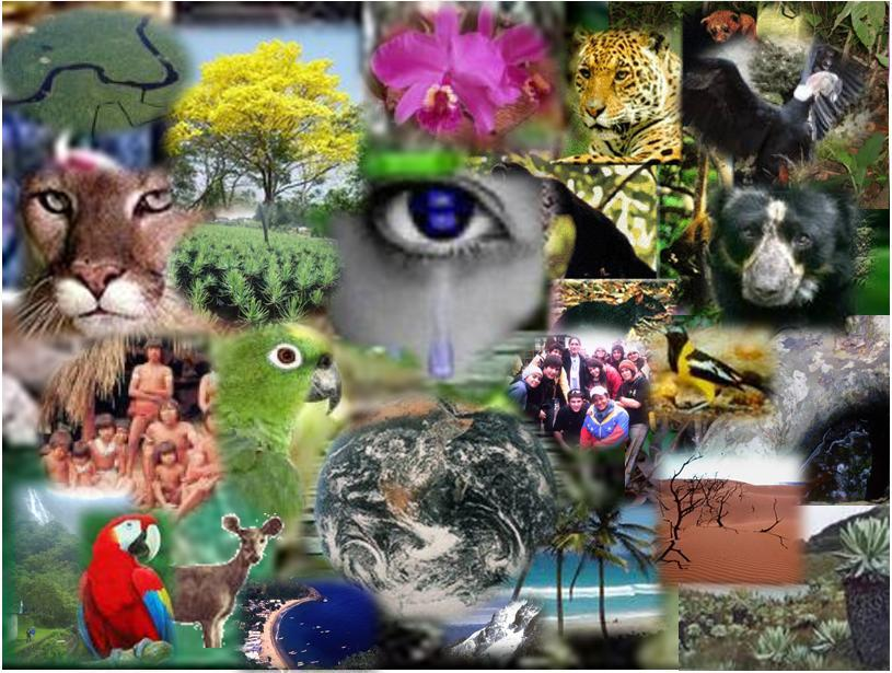 Generalidades sobre biodiversidad.