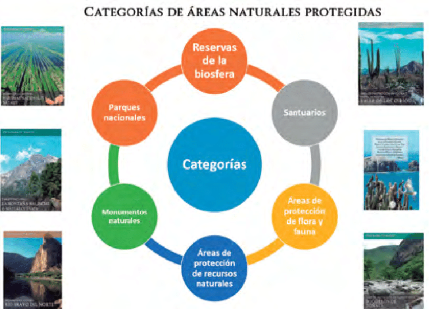 Áreas naturales protegidas. Categorías de Áreas naturales. Zonas intangibles, zonas de uso controlado y zonas y zonas reservadas. Parques nacionales, Reservas nacionales, Santuarios nacionales, Santuarios históricos.