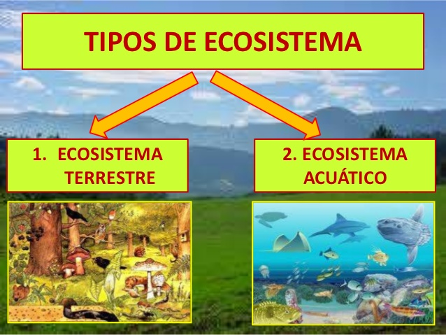 La biodiversidad en el País. Enfoque de los recursos de flora y fauna silvestre desde las zonas de vida natural. Estudio de los ecosistemas terrestres y acuáticos (marinos, lacustres y fluviales).