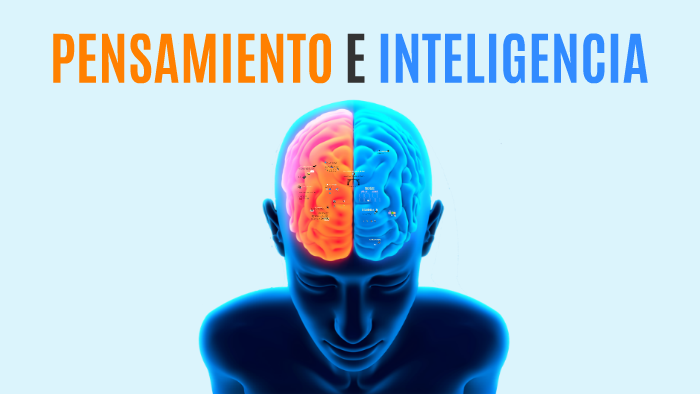 Procesos cognitivos II: Pensamiento e inteligencia.