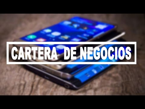 Diseño de cartera de negocios.