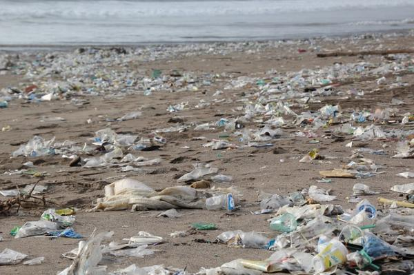 Deterioro del medio ambiente