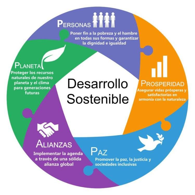 Diferencias: desarrollo sustentable y sostenible. Principios para alcanzar el desarrollo sostenible