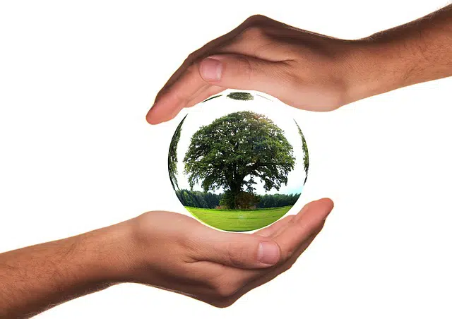 Concepto de Responsabilidad. Responsabilidad ambiental. 