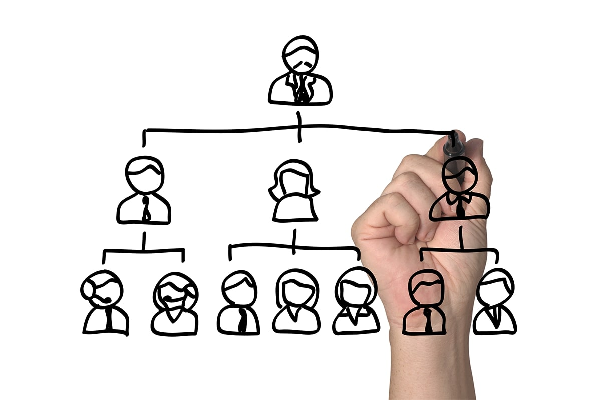 Estructura organizacional: Especialización, departamentalización y cadena de mando. 